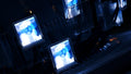 The Nexus